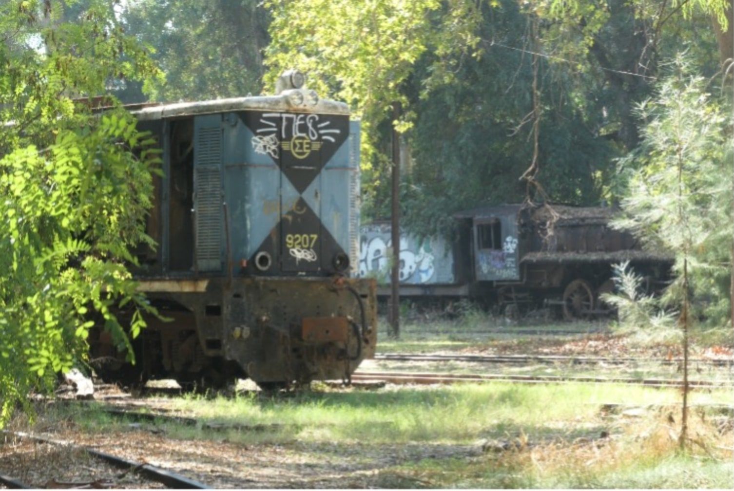 Überwucherte, mit Graffiti besprühte Diesellok auf einem stillgelegten Gleis